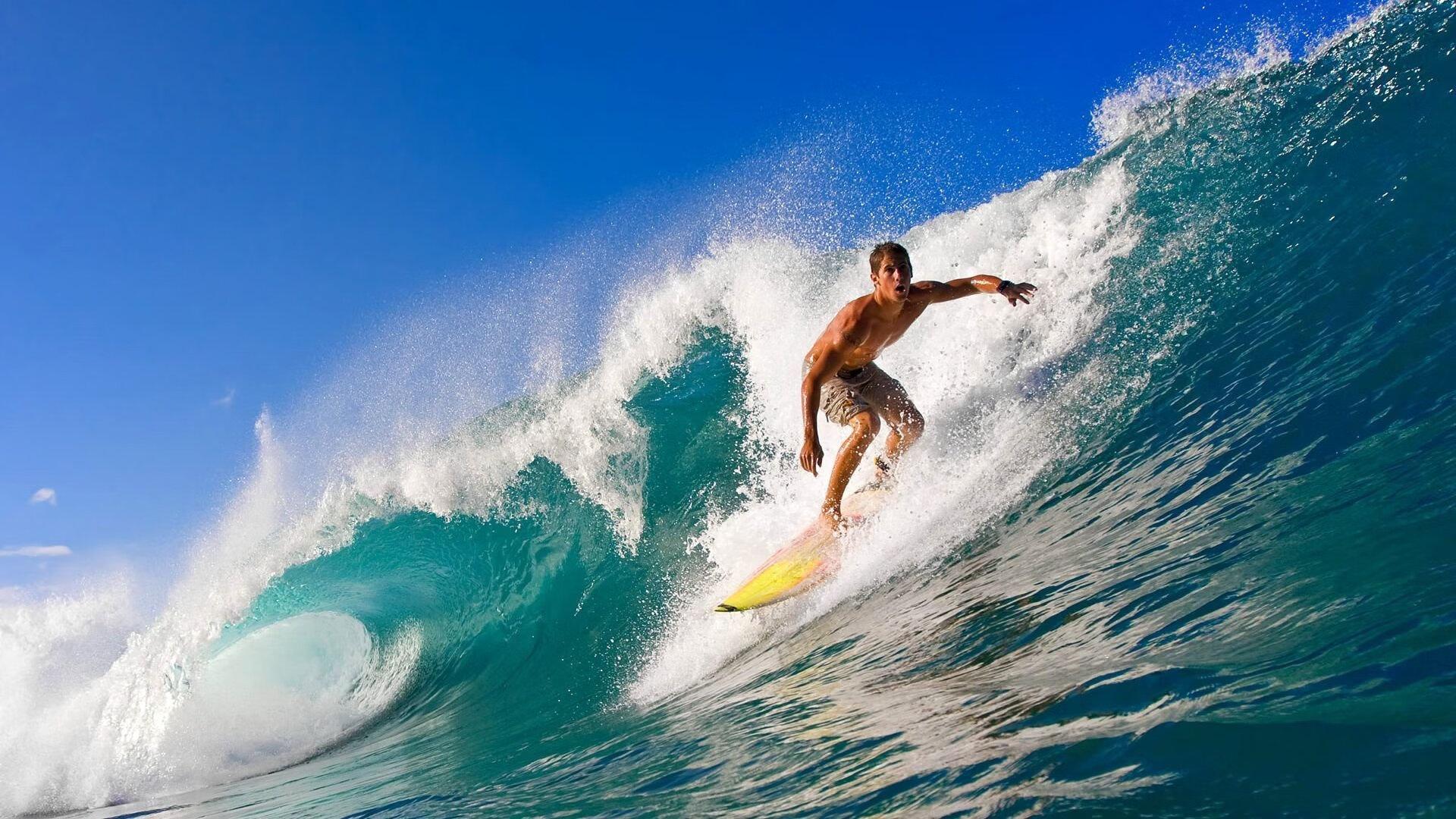 中国游泳队闪耀世锦赛,斩获多枚金牌创历史佳绩