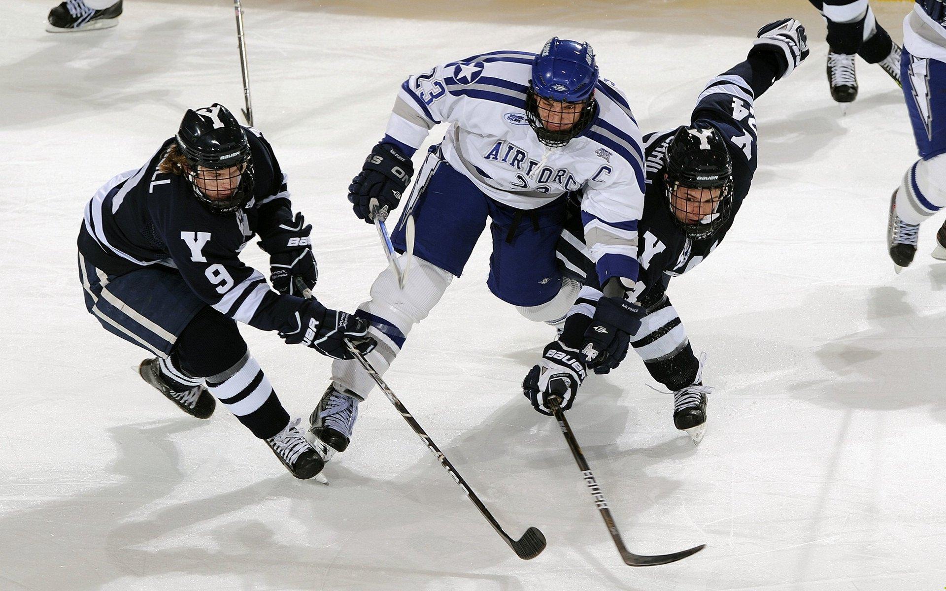 女子体育再创辉煌，全球赛事掀起新浪潮
